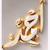 ahmedshawer.sahw