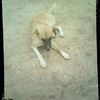 hassi.mohamed