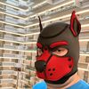 zenthepup