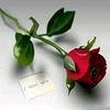 user1622221525972