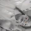 989855017maria