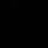 29_fia_07