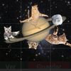 planetcat3