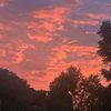 michael_5971