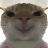 y_sac_y