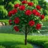zeinb.ahmed7