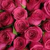 rose__store9