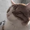 fiwoxx