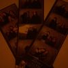 .oliviasaw
