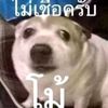 khunny1w