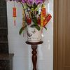 traphan0269