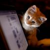 full_stack_developer_424