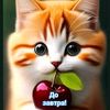 user8448163683772