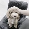 𝐧𝐥𝐚𝐧𝐡