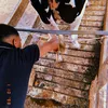 jailtonfilho10