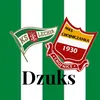 dzuks_1