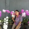 reinanitasitanggang