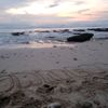 mboh.sopo624