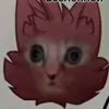 hehehehehehe4447