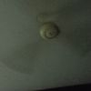user519429150