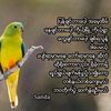 user52026194112794