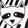 raccoonhg