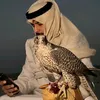 hassen4169
