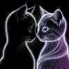 user7062826651124