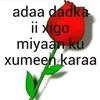 user67631585378411
