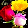 syedali5467
