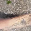 cameliaistrate88