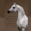 ahmadfahad305