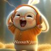 hassan.jutt029