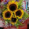 jenny_lopez0912