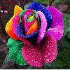 user2138190981542