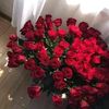 yassermohy0