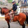 jhonespinoza3726