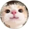 rayray_5