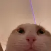mr_stinkytoes123
