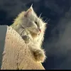 teba.rafa