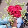 sadiyaislam3948