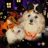 minnieequeenpets