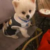 thaor2506100