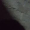 jerrydurandt4