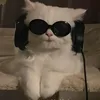 klovejames
