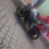 luispett0
