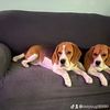 janetfisher604