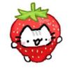 strawbellaxoxo