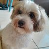 its.me.brylle