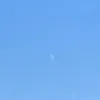 dan_02113